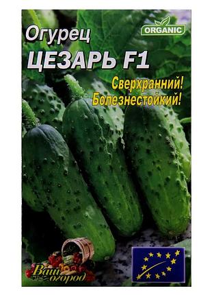 Семена огурцов "цезарь f1" фермерский большой пакет