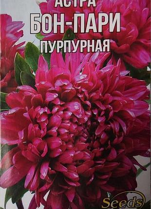 Насіння астри "бон-парі" пурпурна