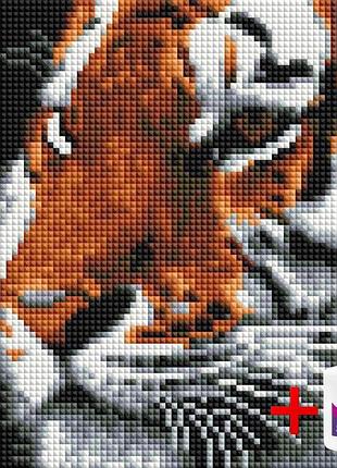 Алмазная мозаика на подрамнике colorart 20x20 тигр ddp1224 + подарок лак для покрытия