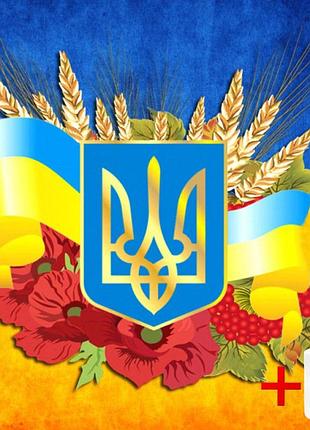 Набір алмазної мозаїки на підрамнику colorart 30x30 символи україни ttp606 + подарунок лак для покриття