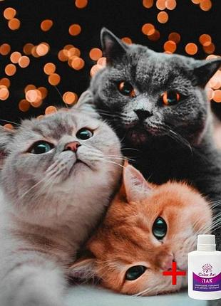 Алмазна мозаїка на підрамнику colorart 30х40см тріо котиків stp484 + подарунок лак для покриття