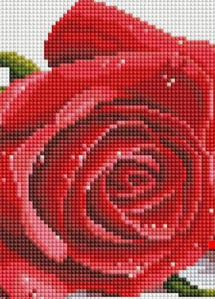 Алмазная мозаика на подрамнике colorart 20х30 розы dtp703 + подарок лак для покрытия