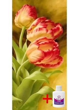 Алмазна вишивка на підрамнику colorart 30x60 букет тюльпанів tsp1302 + подарунок лак для покриття