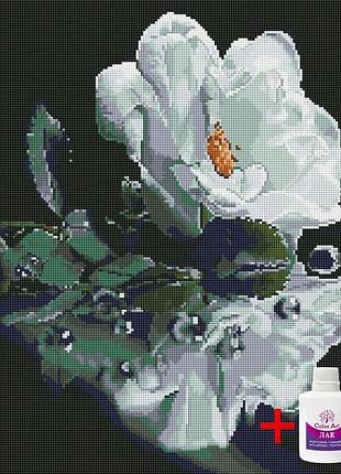 Алмазная мозаика на подрамнике colorart 40х50 белая роза spp123 + подарок лак для покрытия