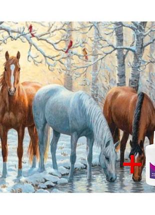 Набір для рукоділля на підрамнику colorart коні біля ставка 40x50 spp005 + подарунок лак для покриття