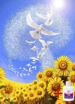 Алмазная мозаика на подрамнике colorart 30х40см голуби мира stp483 + подарок лак для покрытия