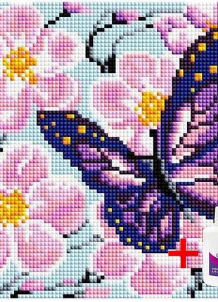Алмазная мозаика на подрамнике colorart 20x20 бабочка ddp1207 + подарок лак для покрытия