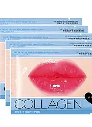 Гидрогель с коллагеном и экстрактом молока hymey`s collagen lip beauty milk 8г
