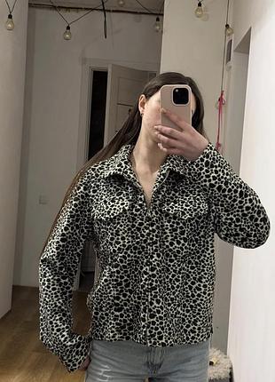 Жіночий жакет з принтом
