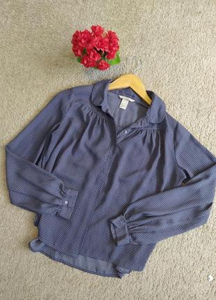 Очень красивая блуза в горошек от h&m с обьемными рукавами