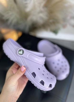 Шльопанці crocs
