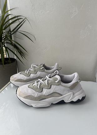 Кросівки 👟 adidas ozweego