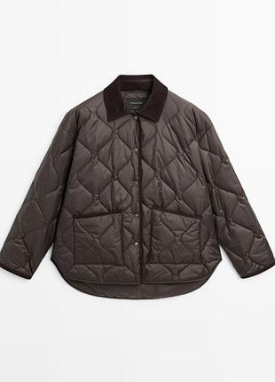 Куртка massimo dutti поточна колекція
