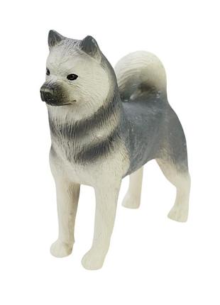 Детская игрушечная фигурка животного "siberian husky" tbs086-8