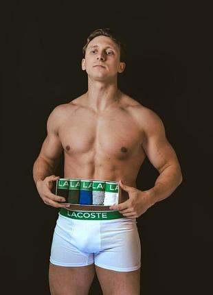 Чоловічий набір трусів lacoste 5 шт