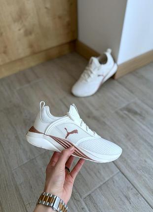 Сша! оригинальные женские кроссовки puma softride ruby 377311-05 новое состояние лето