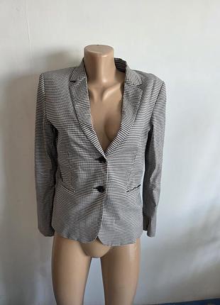 Піджак massimo dutti