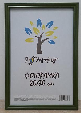 Фоторамка 20х30 см., зеленая, багет 1515-011-157 б/з