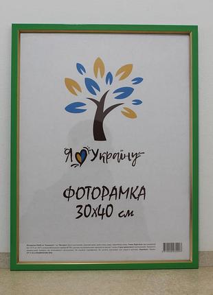 Фоторамка 30х40 см зелена із золотою вставкою, багет 1511-537 скло + картон