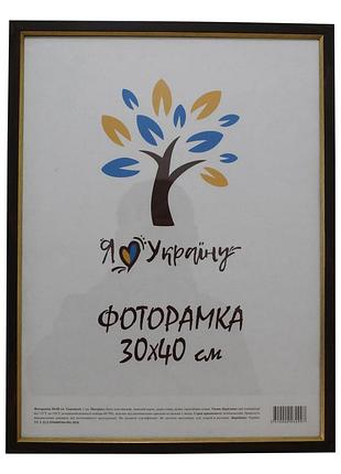 Фоторамка 30х40 см., коричневая с золотым вставкой, багет 1511-в84 стекло + картон