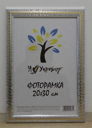 Фоторамка 20х30 см., серебряный с золотой змейкой, багет 2416-120g стекло + картон