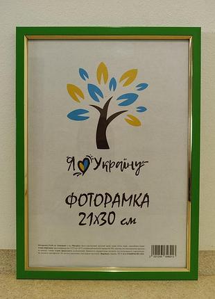Фоторамка а4 21х30 см зеленая с золотой вставкой багет 1511-537