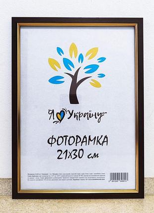 Фоторамка а4 21х30 см коричневая с золотым обрамлением багет 1511-в84