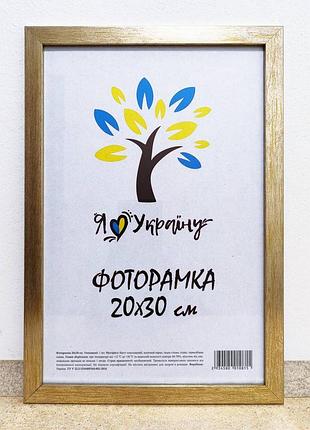 Фоторамка 20х30 см., золотистая, багет 1611-469-3