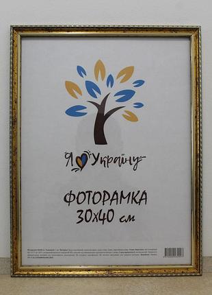 Фоторамка 30х40 см золотая с коричневым обрамлением, багет 1715-х0100 оргстекло + двп