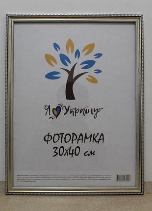 Фоторамка 30х40 см серебряная с коричневым обрамлением, багет 1715-469-3 оргстекло + двп