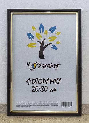 Фоторамка 20х30 см., коричневая с золотым обрамлением, багет 1515-в84 стекло + картон