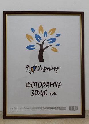 Фоторамка 30х40 см светло-коричневая с золотой вставкой багет 1515-5120 стекло + картон