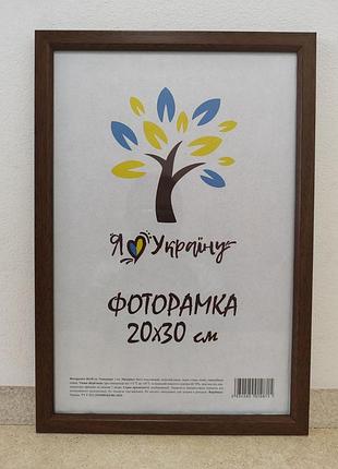 Фоторамка 20х30 см., светло-коричневая без золотой вставки, багет 1511-5120 б\з