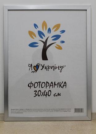 Фоторамка 30х40 см серебряная, багет 1611-1730 оргстекло + двп
