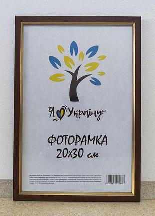Фоторамка 20х30 см., вишневая с золотой вставкой, багет 1511-х054-2