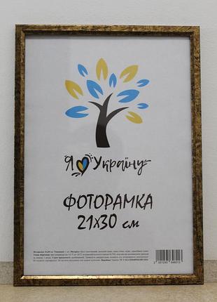 Фоторамка а4 21х30 см состареное золото багет 1210-3055 оргстекло + двп