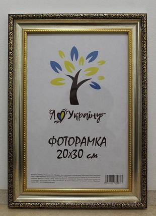 Фоторамка 20х30 см., серебряная с золотым обрамлением, багет 377-036s
