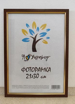 Фоторамка а4 21х30 см., светло-коричневая с золотым обрамлением, багет 1511-5120 стекло + картон