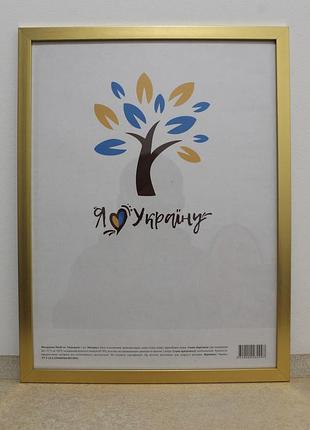 Фоторамка а3 30х42 см., золотая, багет 1611-2854 оргстекло + двп