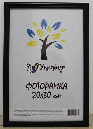 Фоторамка 20х30 см., черная, багет 1515-1112 б/з стекло + картон