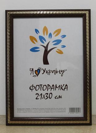 Фоторамка а4 21х30 см вишневая с золотая змейкой, багет 2416-152-9 оргстекло + двп