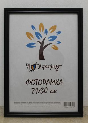 Фоторамка а4 21х30 см чорна багет 1515-1112 б/з оргстекло + двп