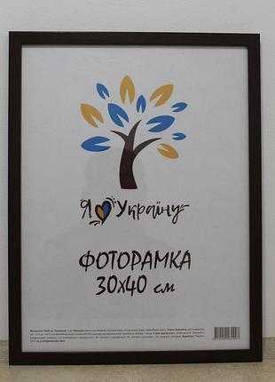 Фоторамка 30х40 см коричневая, багет 1611-152-32 оргстекло + двп