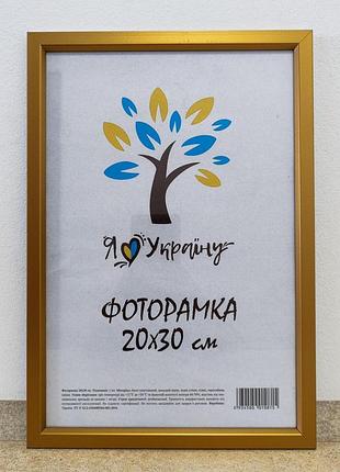 Фоторамка 20х30 см,. золотая с золотой вставкой, багет 1511-0491-11 стекло + картон