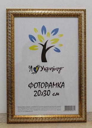 Фоторамка 20х30 см., золотая с серебряной змейкой, багет 2416-261s