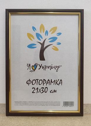 Фоторамка а4 21х30 см., вишневая с золотой вставкой, багет 1515-х412 стекло + картон