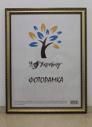 Фоторамка 50х60 см., золото-коричнева із золотим обрамленням, багет 333-х811-10 без стекла + двп