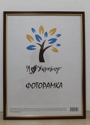 Фоторамка а3 30х42 см., світло-коричнева із золотою вставкою, багет 1515-5120 скло + двп