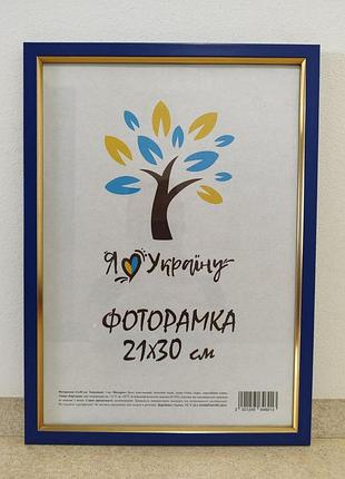 Фоторамка а4 21х30 см синяя с золотым обрамлением багет 1511-614g стекло + картон
