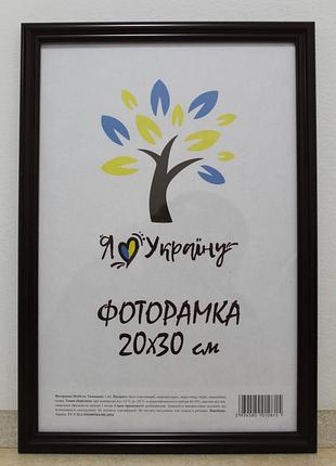 Фоторамка 20х30 см, вишнева, багет 1515-х054-2 б/з скло + картон
